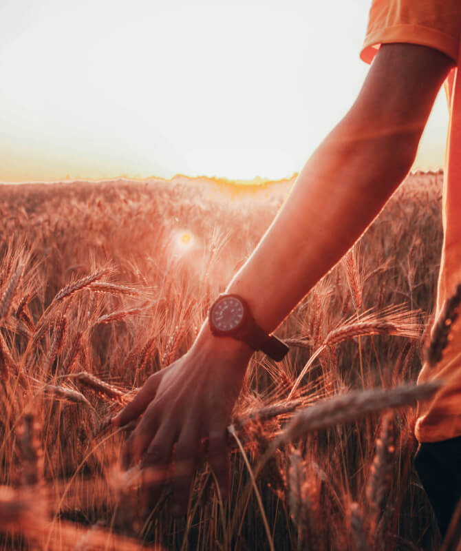 براند أوربت