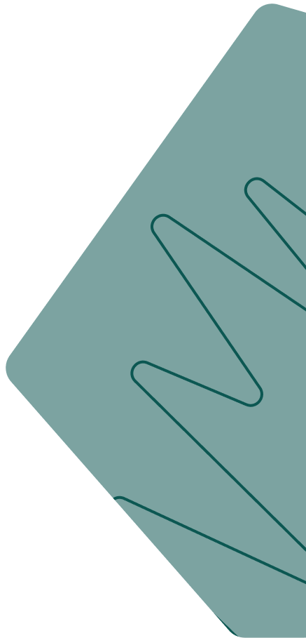 تحويل تكنولوجيا المعلومات، خطوة بخطوة